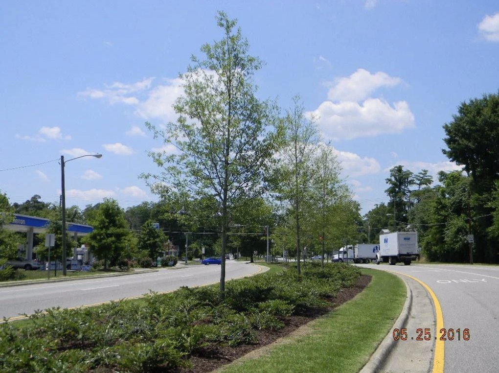 AugustaPress's tweet image. Infighting and political dysfunction in both Columbia and Richmond counties have raised questions about whether Augusta leaders are prioritizing personal agendas over public service.
Read more: theaugustapress.com/scotts-scoops-…
