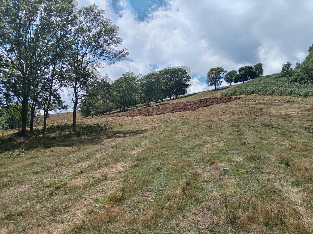 xaiecologic's tweet image. A la Conselleria seguiran apostant per la producció intensiva industrial a la plana. I per muntanya seguiran incentivant l'abandonament...
Som només una illa, però més convençut que mai que el futur és un territori mosaic i una agricultura i ramaderia amables.
#FeinaFeina 🚜💪