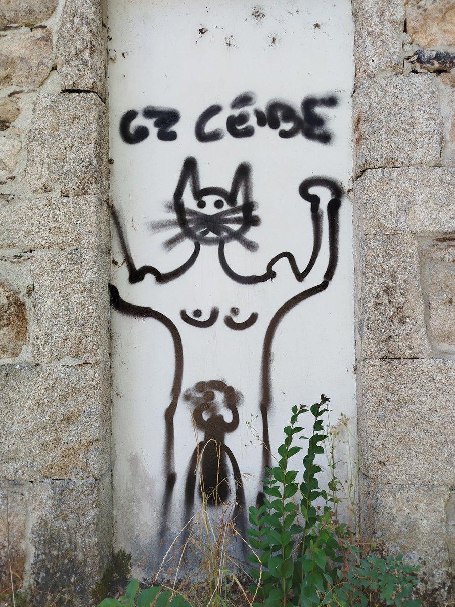 primenllamas's tweet image. Hoy en "Da igual la ideología, son marranos todos el día":