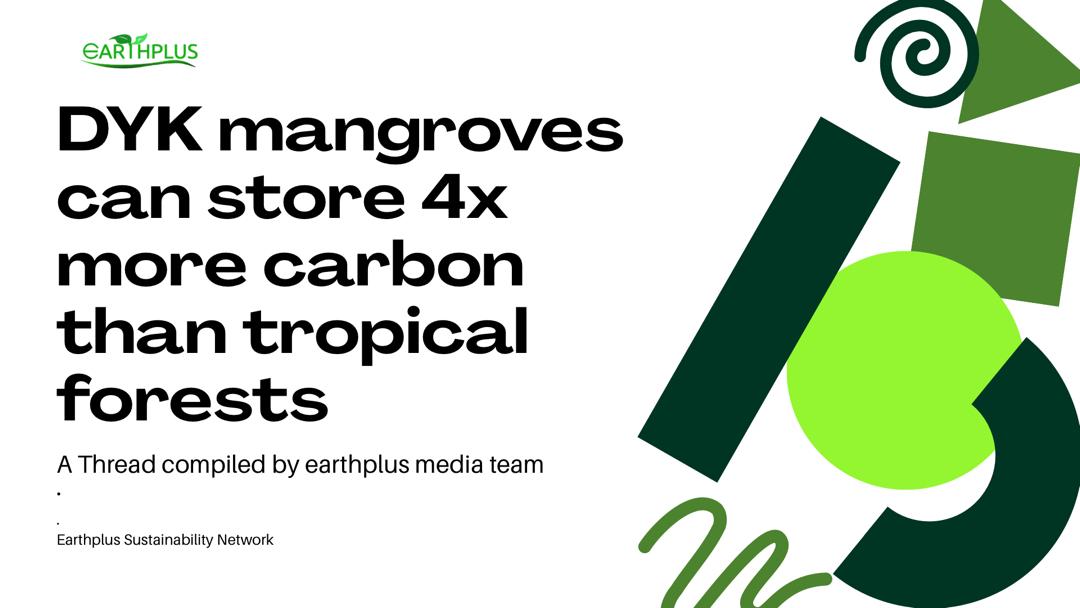 Earthplus Africa tweet media