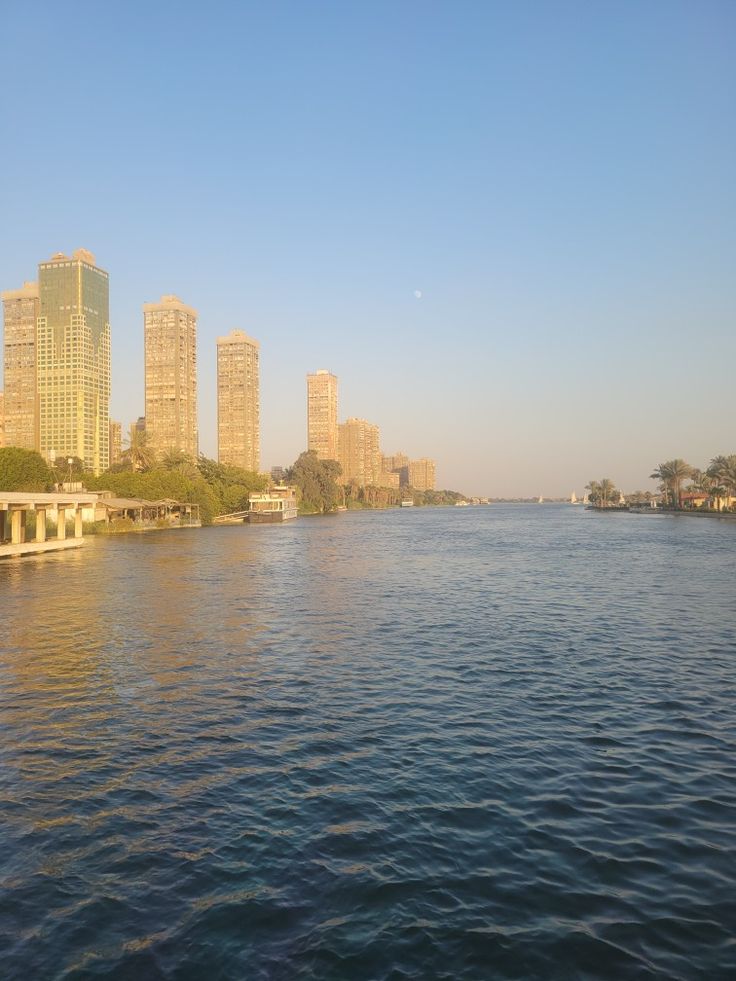 سيكتب التاريخ أن مصر كان فيها نهر النيل وغزة ماتت عطشاً..