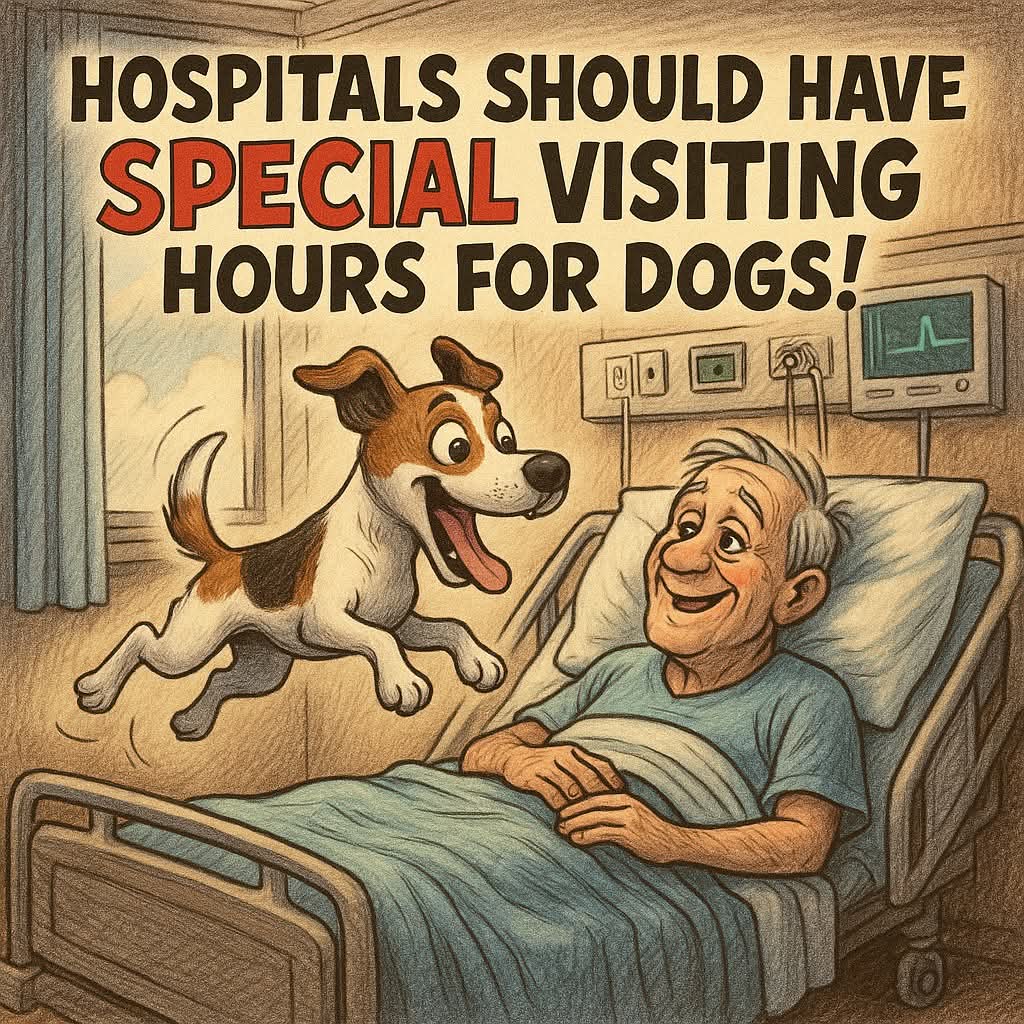 geezabigdave's tweet image. This would be just perfect ♥️
Imagine how much happier it would make some people 🐾 ❤️