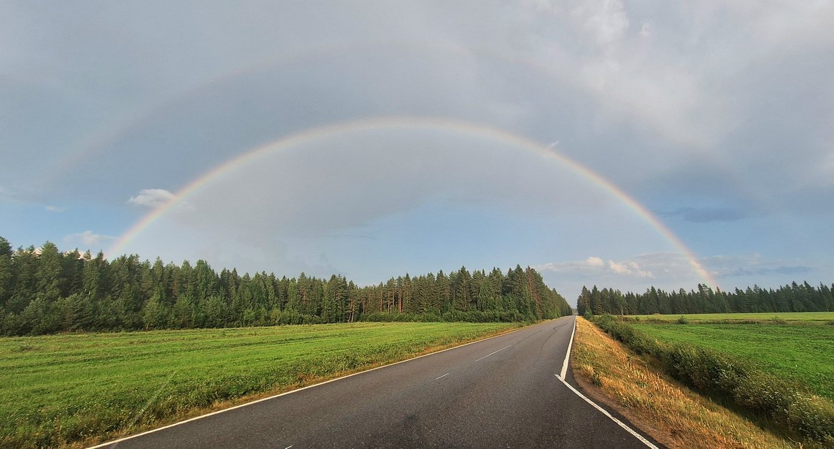 PHatunen's tweet image. Hyvää illanjatkoa ja yötä aikanaan. 
Have a fine evening and good night.
Kuva 27.7.2025 Vaala.