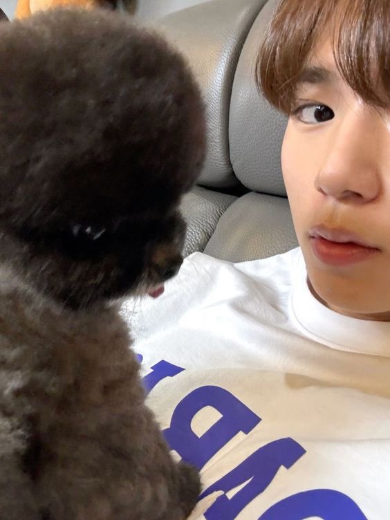 fylitxjunseo's tweet image. 💭😴