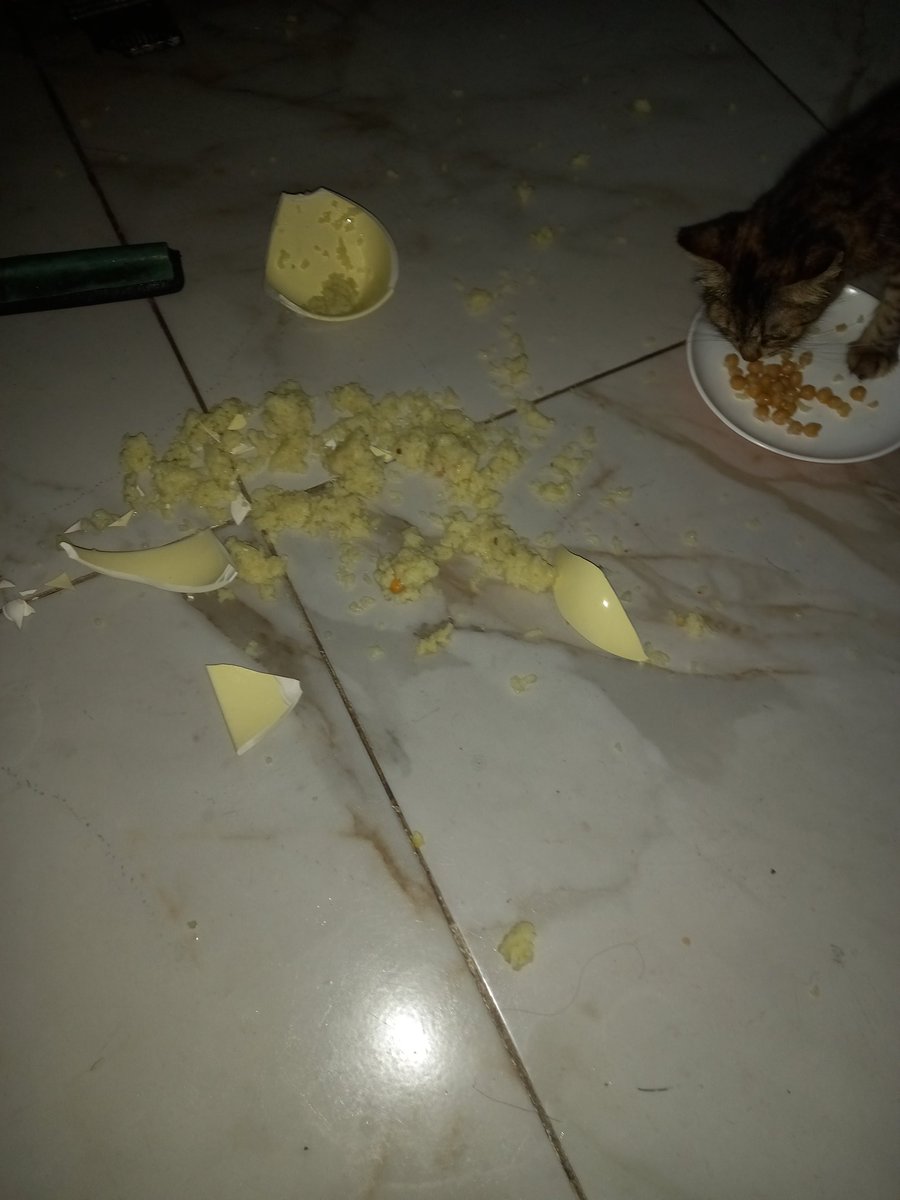 reemsh04's tweet image. انا في حالة بكاء الآن صحن الاكل يلي بخبيه إلي وللبسس انكسر