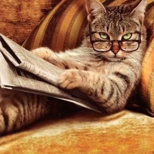 GLHancock's tweet image. Cleaning off the desk, I realized I have a new library of data breach notifications - 5 for me and one for my dead mother (!) So much for the paperless age. *reaches for a new folder*