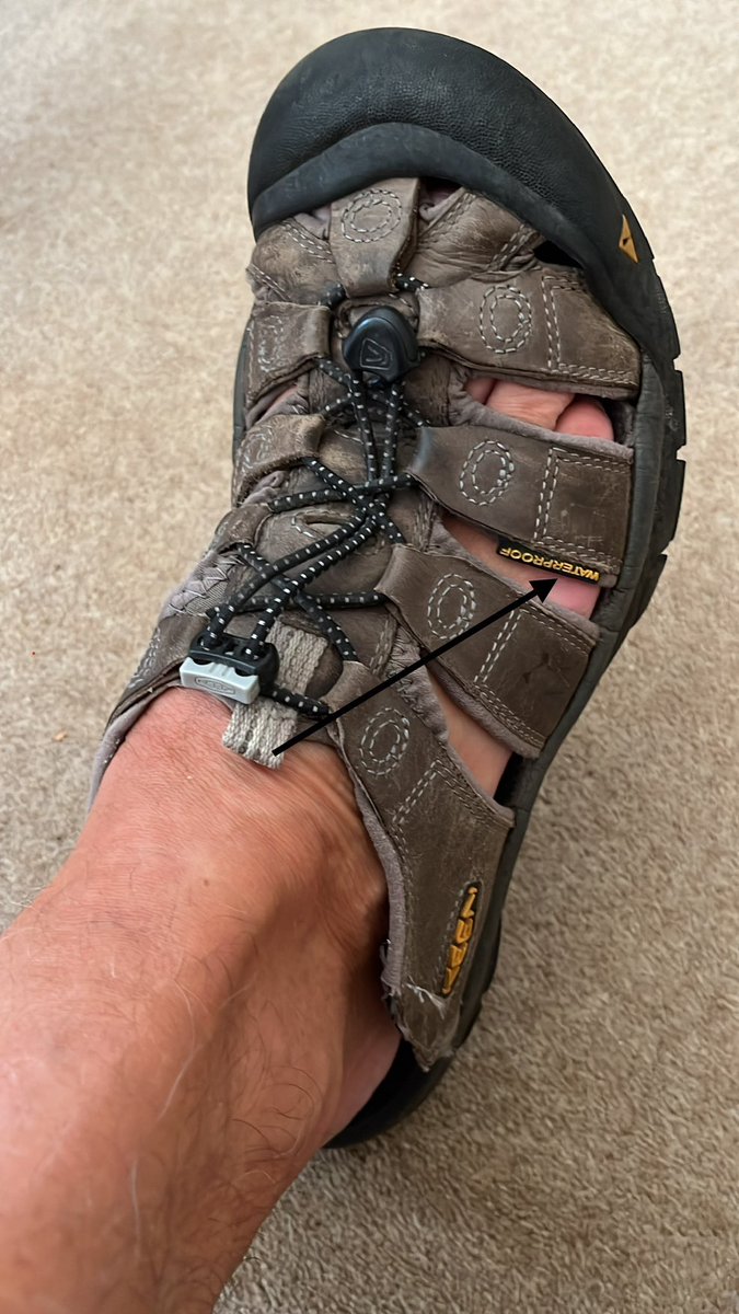 Free 🇵🇸 #RejoinEU tweet media