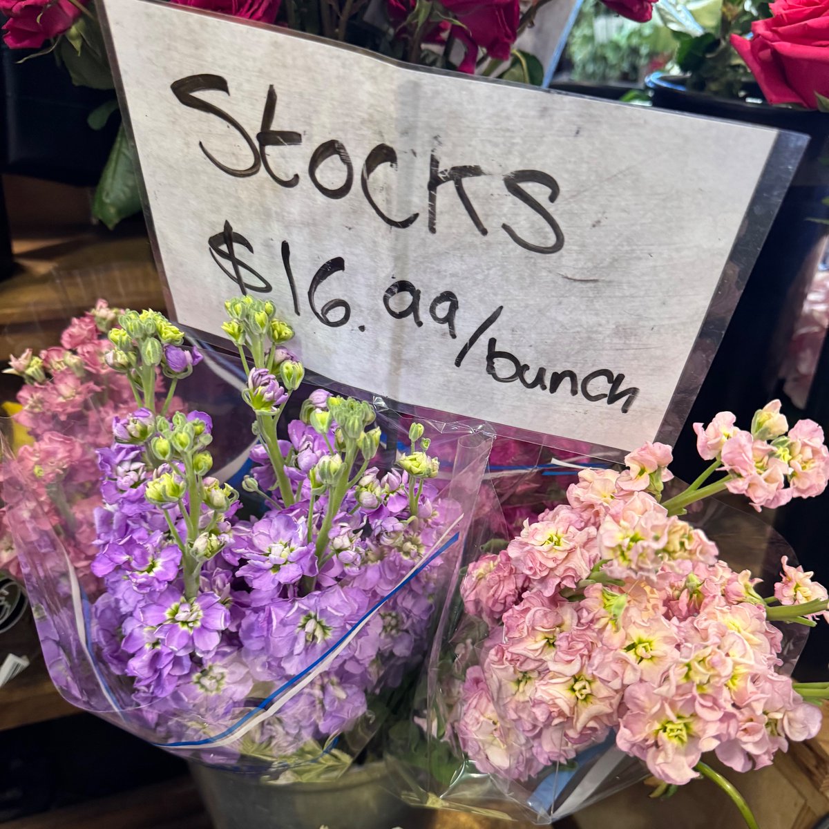 MebFaber's tweet image. Spotted in Canada....on sale!
