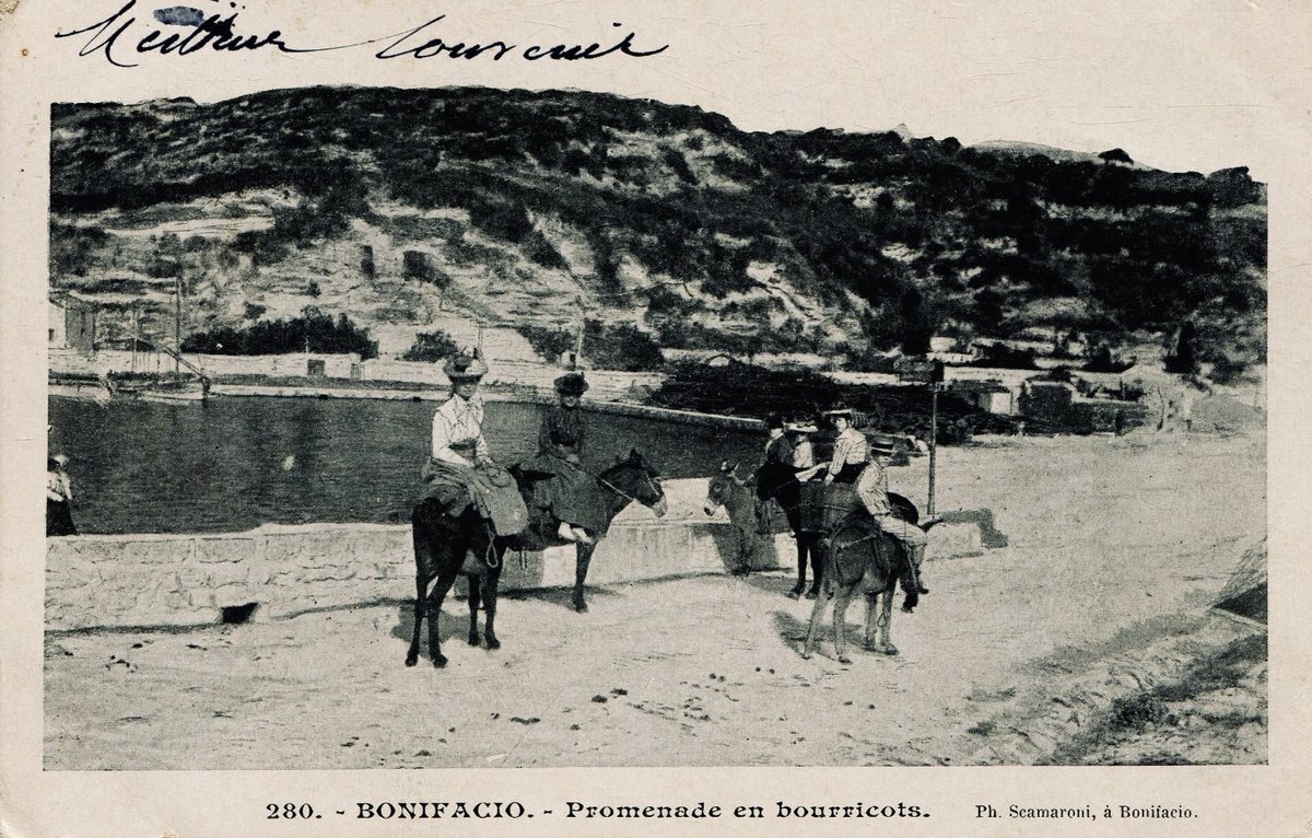 A Corsica tandu

"Le petit âne corse
S’en va dans les sentiers
Donnant toute sa force
Pour ne pas scoulicher

A cantu Dominique
Ne cesse de le flatter
Lui donnant la réplique
Sans cesser de chanter

Caru sumere
Le jour va se lever
Ne perd pas ta confiance
Nous allons arriver."🎶