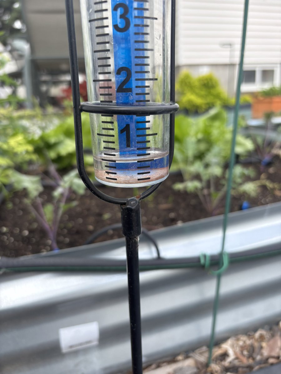 Another 1/2” Northeast side of Swift Current from last night!