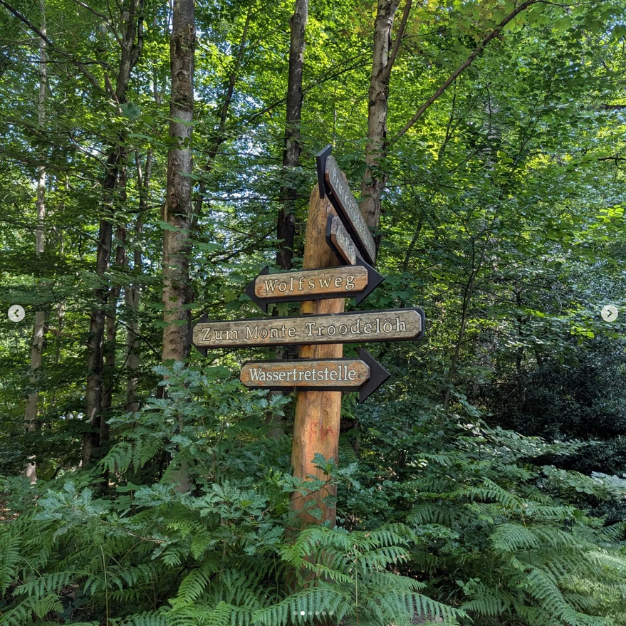 RBTV_Koeln's tweet photo. Moin Mitbohnen! 🌞 Unser Community-Wandertag im Königsforst war ein voller Erfolg – Sonne, gute Laune &amp; der „höhste“ Punkt Kölns: der Monte Troodelöh. Ein entspannter Tag mit tollen Gesprächen &amp; noch besseren Leuten! ❤️🥾 #rbtv #bohnenliebe #Wandern #cgnbeans #MonteTroodelöh https://t.co/uc6t48A0Ps
