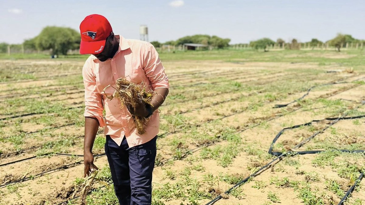 NigerAR's tweet image. Abdoul-Kader Issoufou
Entrepreneur agricole
Agri'Innove'Inspire accompagne la mise en valeur d’un site de 2 hectares dédié à la production fourragère, notamment du Maralfalfa, à Toukounous, Tillabéri.
Que Dieu protège toutes celles et ceux qui travaillent pour le bien, même…