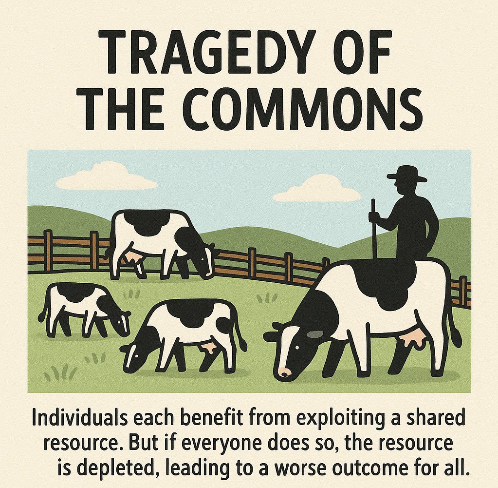 MilanVonPraga tweet media