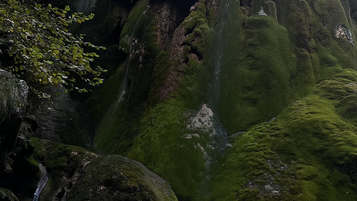 alhqeia (@phtysis) on Twitter photo 