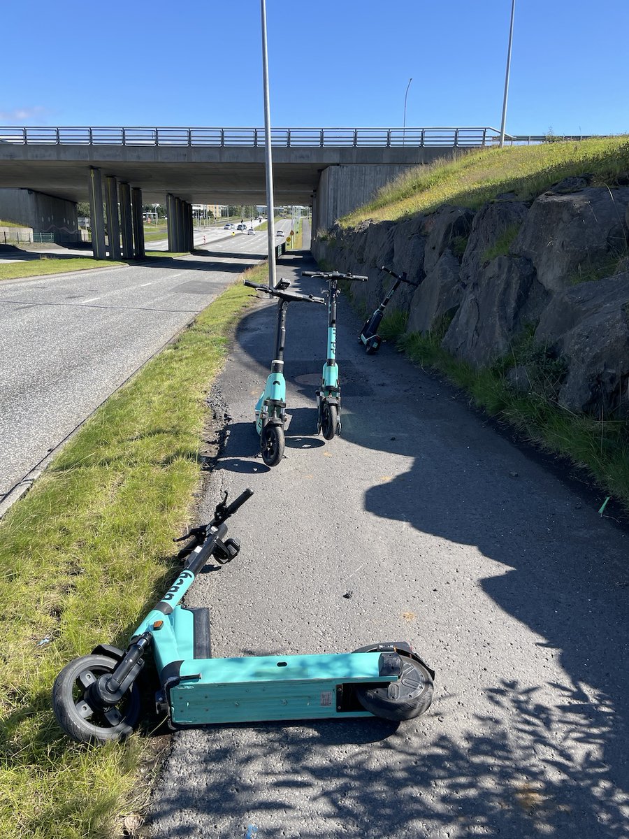 Verst lagða rafskútan (@verstlagda) on Twitter photo 