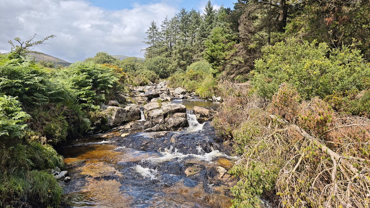 vcacic's tweet image. River Ow 
#ireland #river #nature #mountains