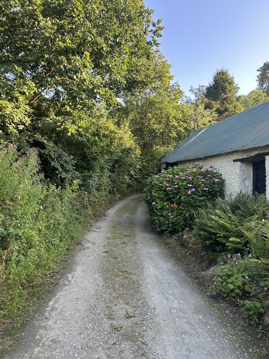 kaiteoreilly's tweet image. The road home