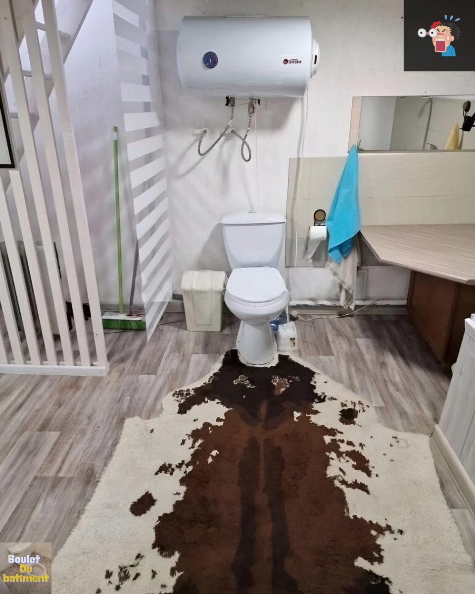bouletbatiment's tweet image. Le choix de tapis est assez douteux