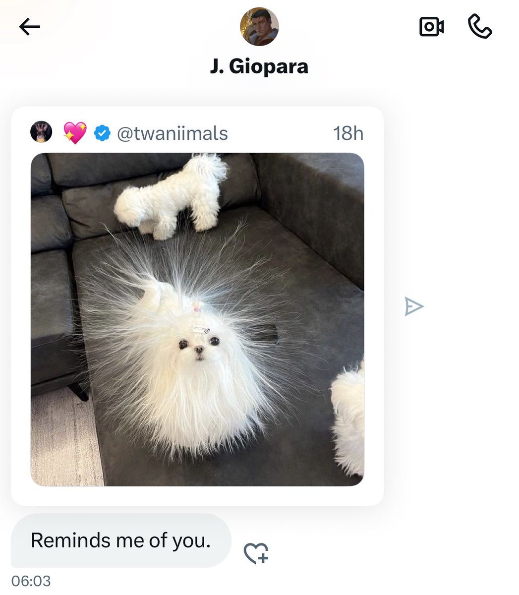 Xx_Ama1_xX's tweet image. should i run away