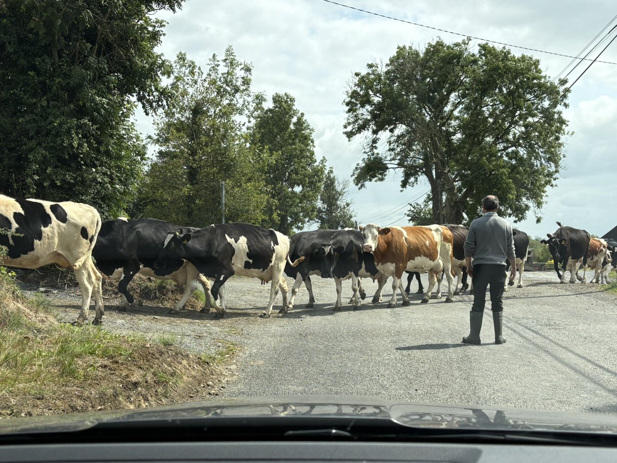 doogarry's tweet image. Traffic jam Cavan-style