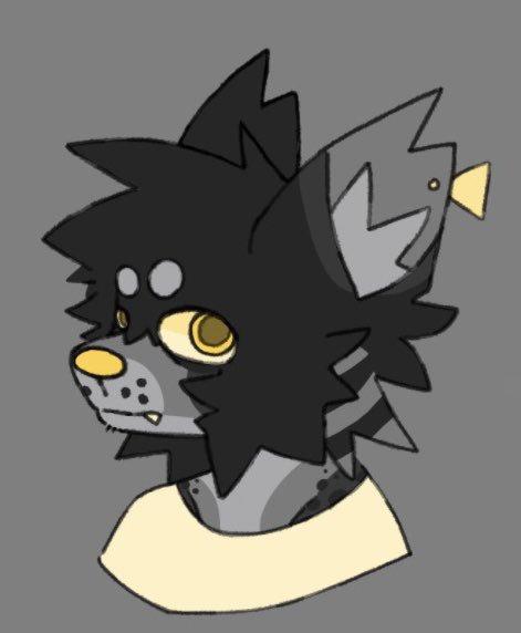 roscuree's tweet image. HDGDS YYES itd be my fursona, just w natural colors for his nose/pawpads to match the beastars style
ii donthave a ship name but his name is edendi imjust not creative enough to mix it with pina