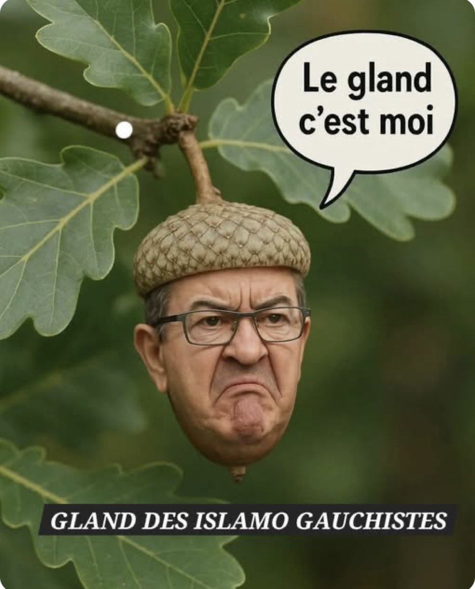 Steph ´🇫🇷✝️ (@ste75208) on Twitter photo 