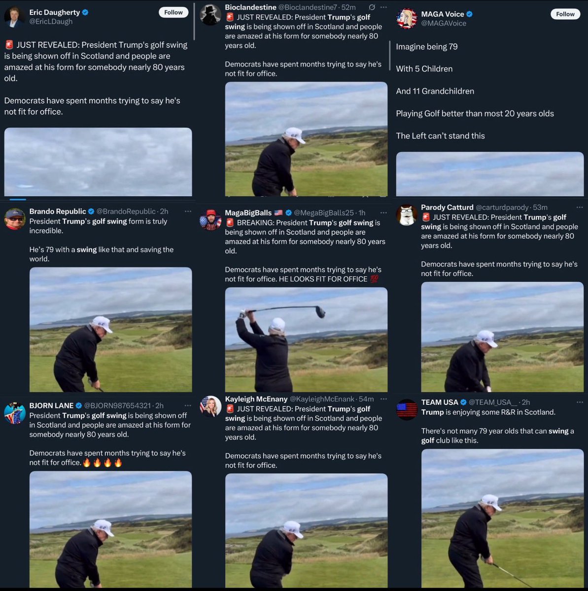 “We aren’t in a cult!”

🤡🤡🤡