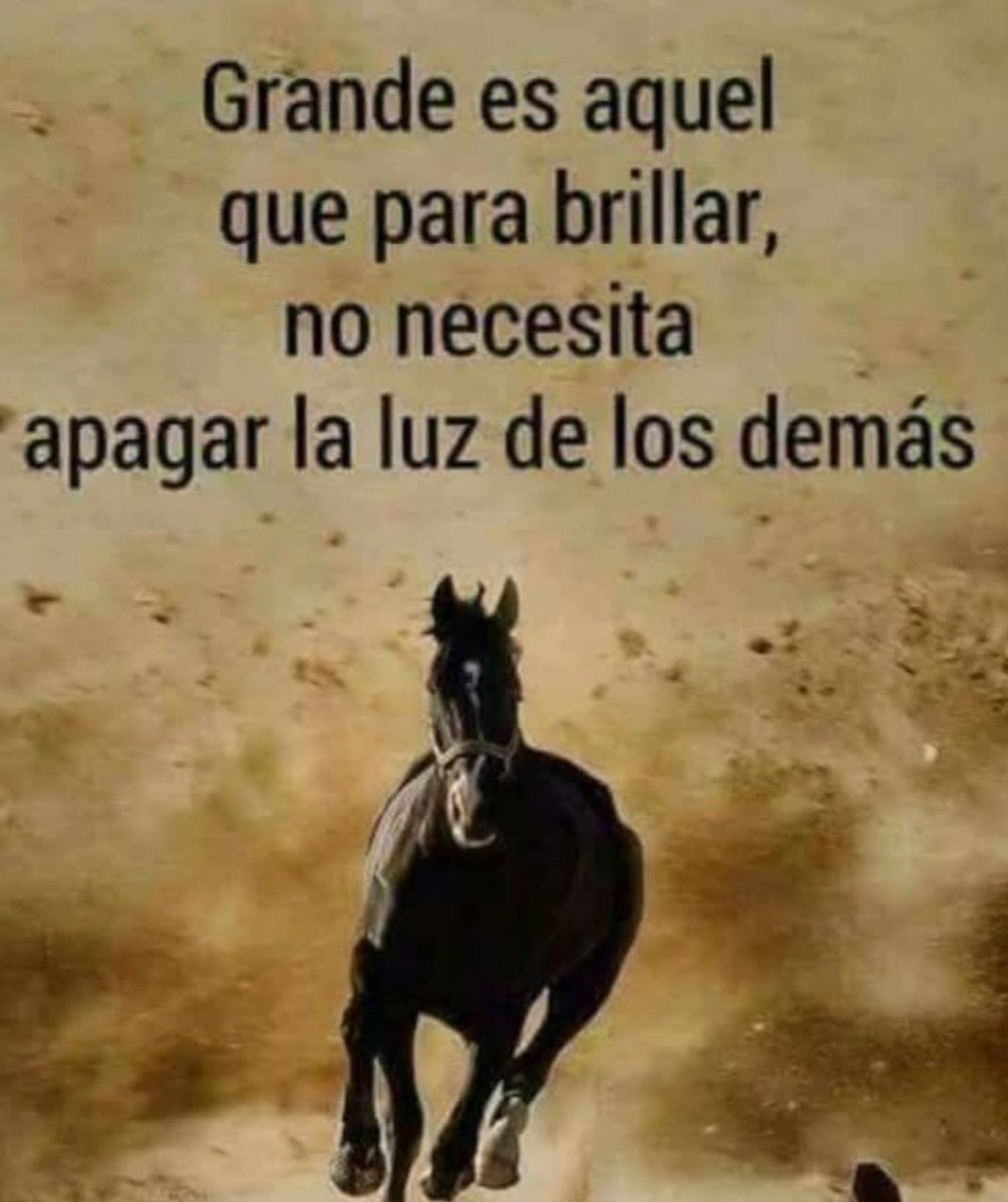 cbarriaz's tweet image. Querido diario:
Con cariño para mi vereda.
Levántate Chile 🇨🇱
#DerechaUnida
