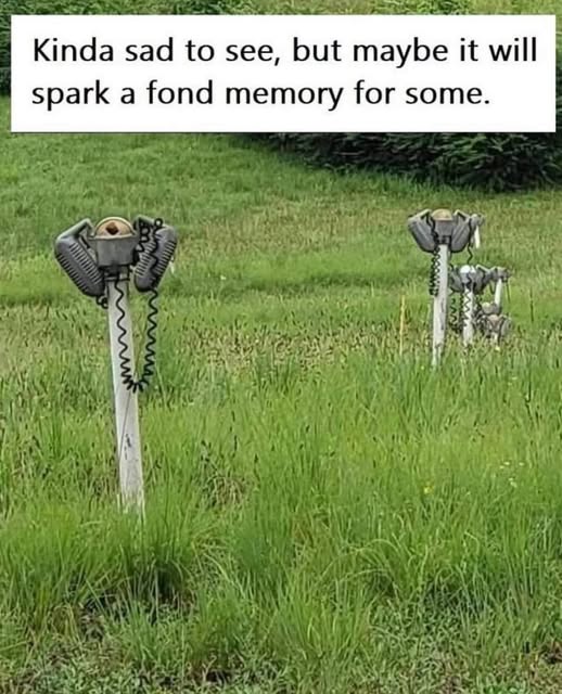 Loved going to the drive-ins.
