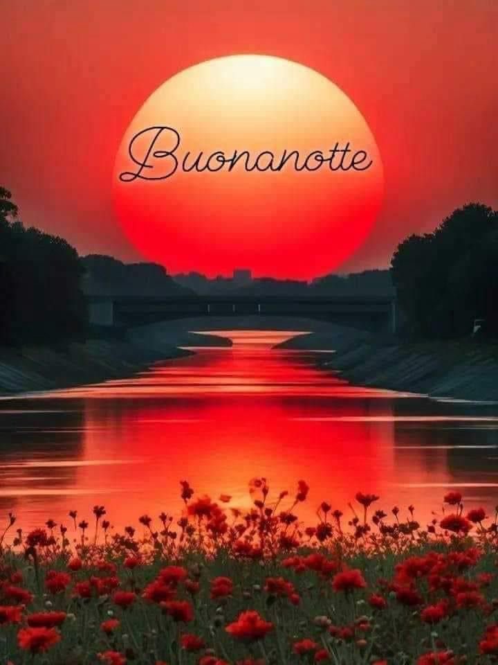 LmLiberato's tweet image. 