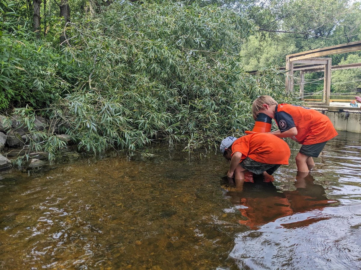 Summer Camp teamwork: one crayfish spotter, one crayfish catcher! 🦞🌊