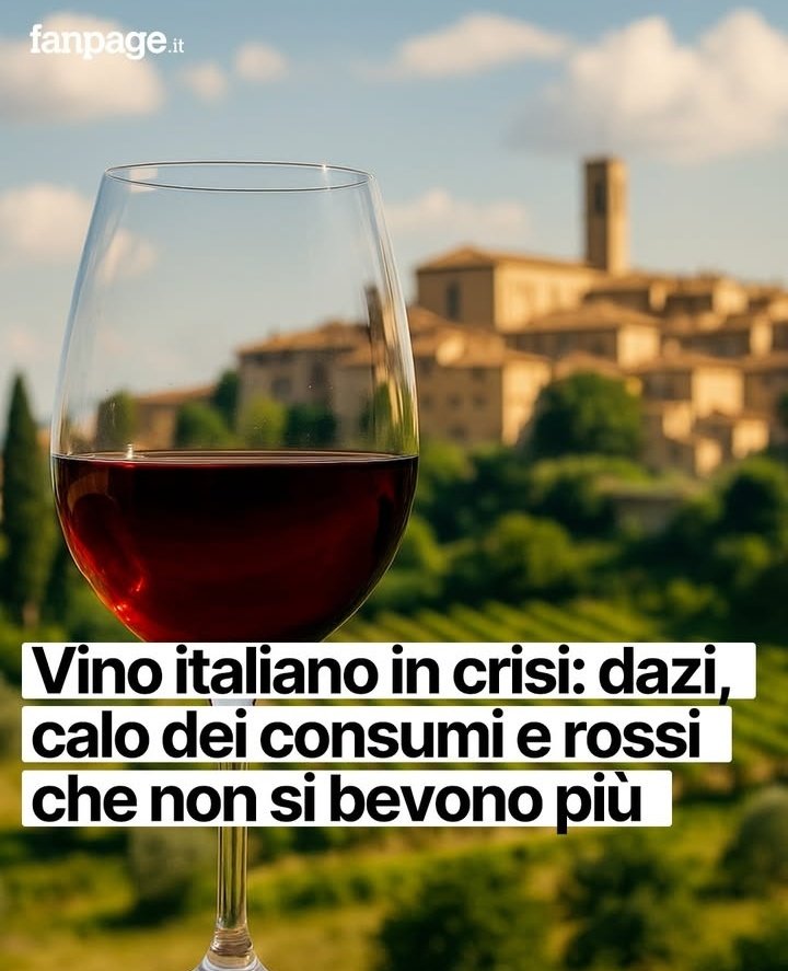 AngeloSab82's tweet image. Da quando @FrancescoLollo1 ha biblicamente detto che Gesù moltiplicava il vino sono calate le vendite.
Attendiamo nuove perle.