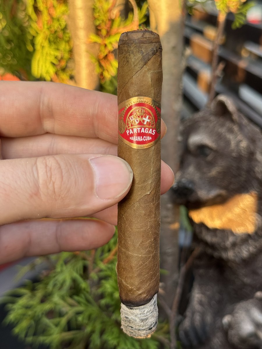 Вечер с Partagas Mille Fleurs — классика с насыщенными нотами земли и древесины. Во второй трети раскрывается кожа и специи, а финал радует оттенками какао и кофе. Плотный дым и яркое послевкусие! #Сигары #Partagas