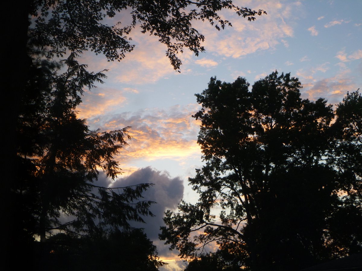 zoeloveshouses's tweet image. 