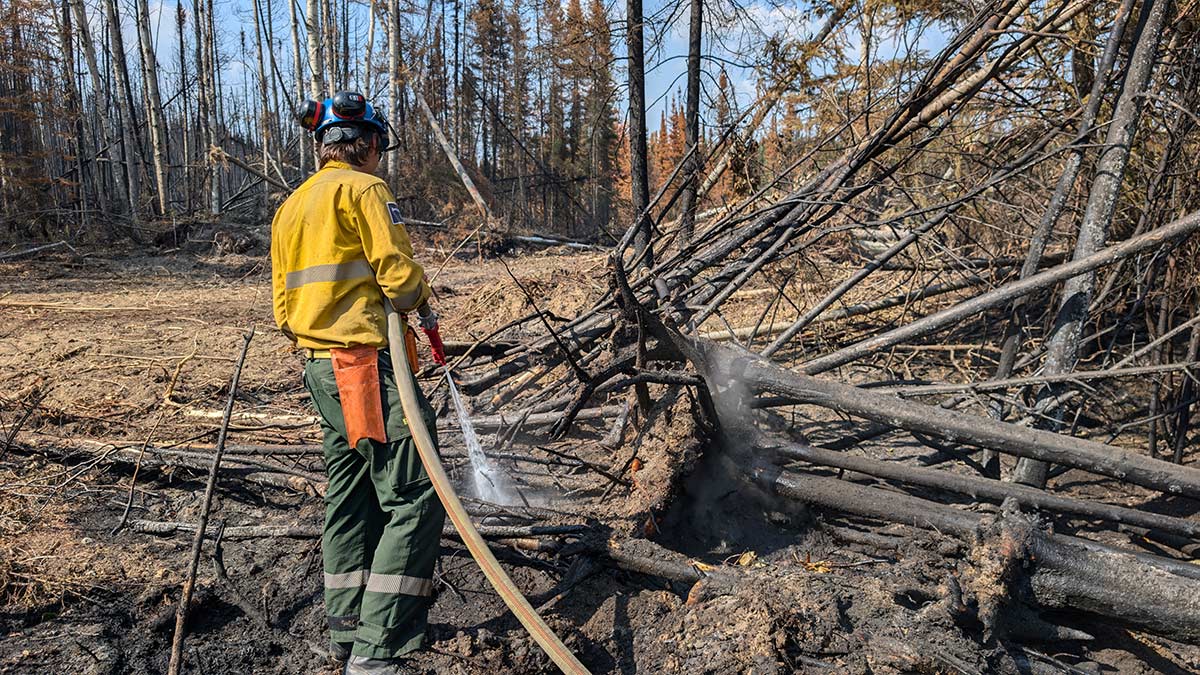** BUHL WILDFIRE UPDATE – JULY 27, 2025 – 12:00 **   For detailed daily updates from Parks Canada and the Saskatchewan Public Safety Agency on the Buhl wildfire, please see the Prince Albert National Park website: parks.canada.ca/panp-fire