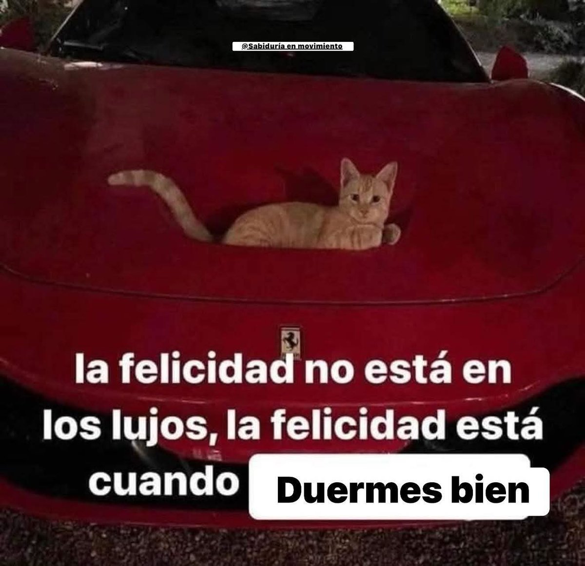 bruja_pititis's tweet image. #BuenDía