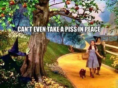 BillyMeredithMU's tweet image. 😂😂🤣🤣😂😂🤣🤣