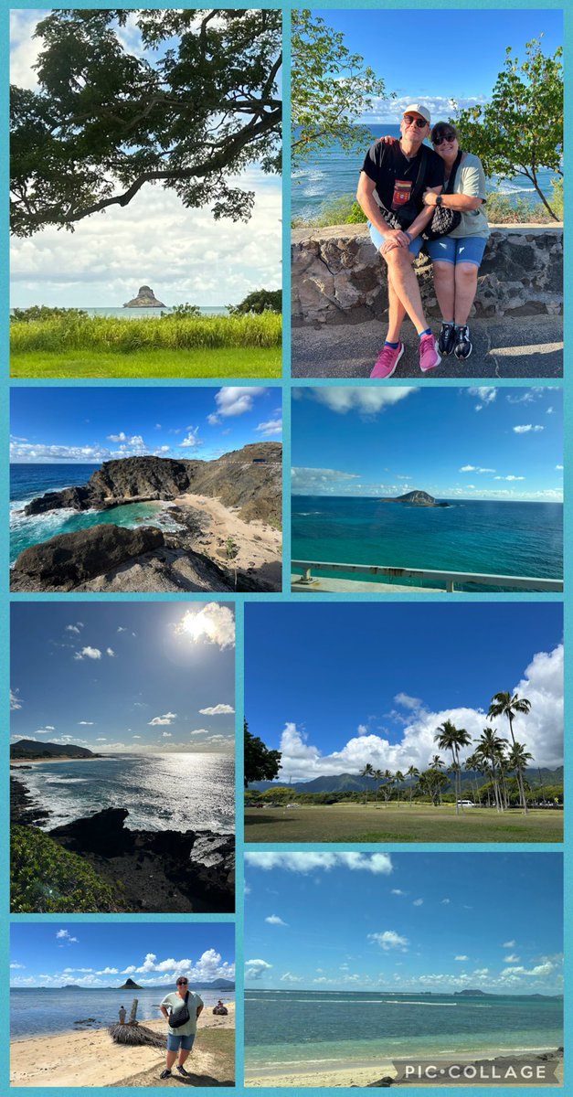 Jane_Arthur_'s tweet image. Oahu’s grand circle island tour. Learned abt Hawaii. Byodo-In Japanese Temple⛩️Turtle Bay🐢North Shore🌊🏄🏽♂️Snorkelling🤿Dole Pineapple Plantation🍍Macadamia Nut & Coffee Farm🌰☕️Food Truck ‘Shrimp the Bomb’ Spicy Shrimp & Huli-Huli Chicken 🌶️,Kula Shaved Ice & Fruit Stands 🍌🍍🥥