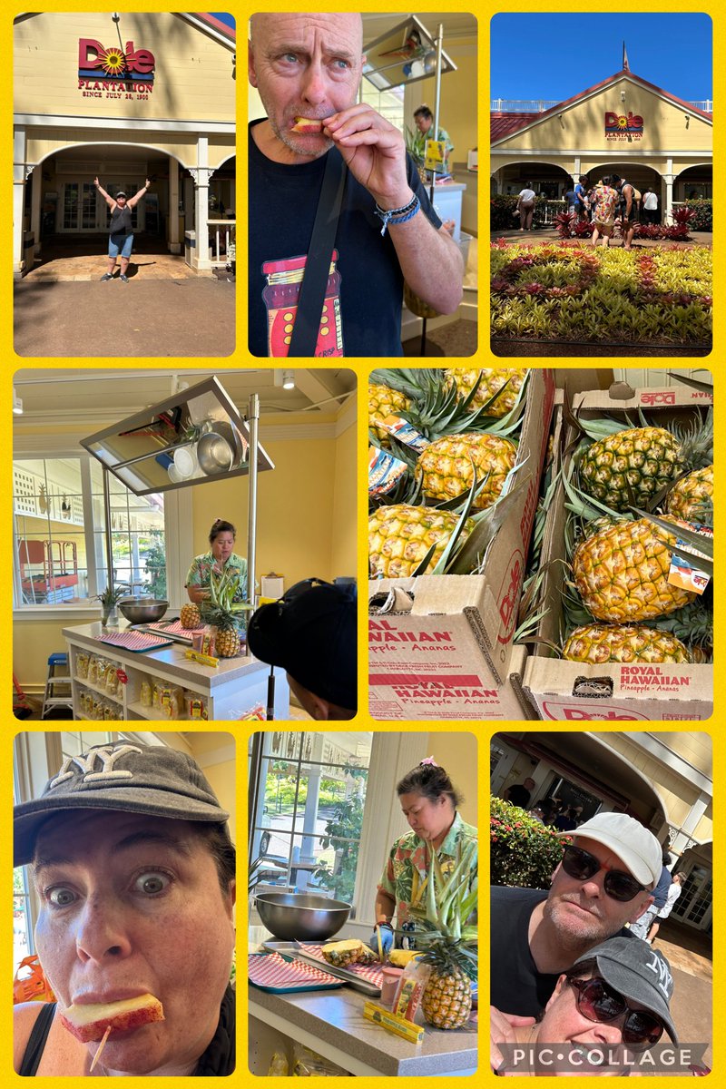 Jane_Arthur_'s tweet image. Oahu’s grand circle island tour. Learned abt Hawaii. Byodo-In Japanese Temple⛩️Turtle Bay🐢North Shore🌊🏄🏽♂️Snorkelling🤿Dole Pineapple Plantation🍍Macadamia Nut & Coffee Farm🌰☕️Food Truck ‘Shrimp the Bomb’ Spicy Shrimp & Huli-Huli Chicken 🌶️,Kula Shaved Ice & Fruit Stands 🍌🍍🥥