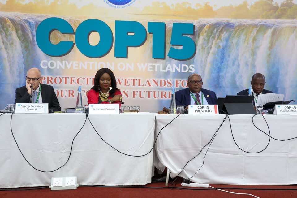 MumbaMusondam's tweet image. Dedicated, committed, consistent, focused  - THIS • IS • #COP15Zimbabwe 🇿🇼👌🏾👏🏽🙏🏾👇🏾 

It’s a FULL HOUSE - every day! 

Thank you 🙏🏾 #COP15 @RamsarConv