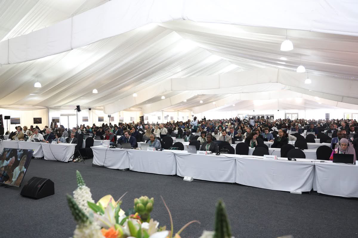 MumbaMusondam's tweet image. Dedicated, committed, consistent, focused  - THIS • IS • #COP15Zimbabwe 🇿🇼👌🏾👏🏽🙏🏾👇🏾 

It’s a FULL HOUSE - every day! 

Thank you 🙏🏾 #COP15 @RamsarConv