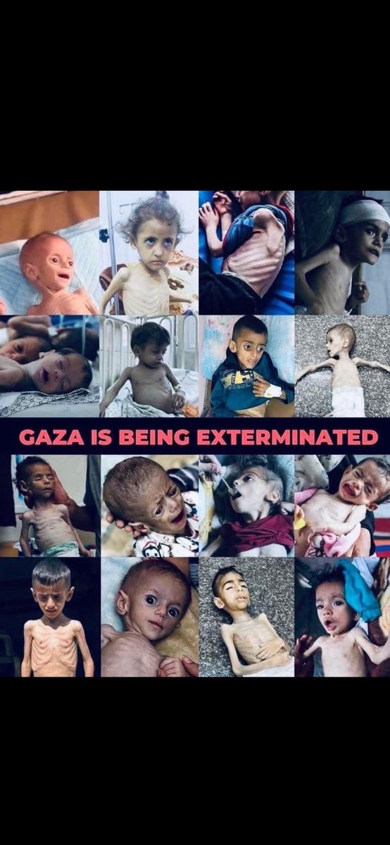 <a href="/zohranmamdani/">Zohran Mamdani</a> It’s not a war. It’s a holocaust of 21st century