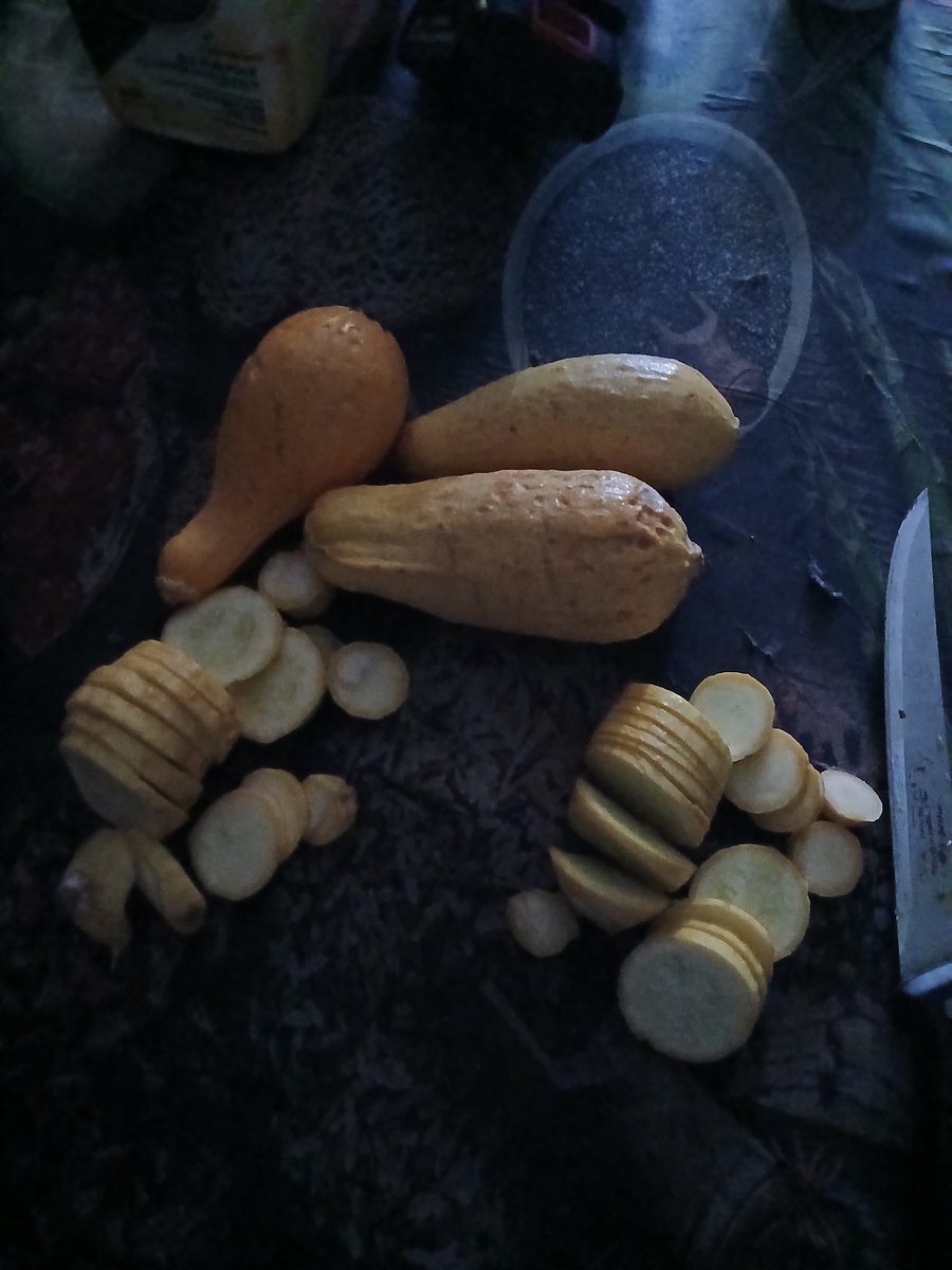 COOLLANEHERO's tweet image. Squash fresh out the garden i don&apos;t miss city life at all