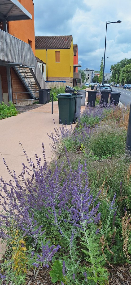laurent27100's tweet image. Ça fait vraiment désordre les poubelles qui traînent sur la chaussée de Léry à Val-de-Reuil sur la piste cyclable, ça crée un obstacle, les cyclistes doivent être ravis.
@MA_Jamet @valdereuil_info
C'est juste une constatation personnelle.