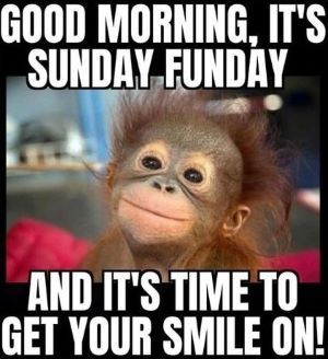 Michael96303310's tweet image. Welcome to a new week! Happy Sunday, folks