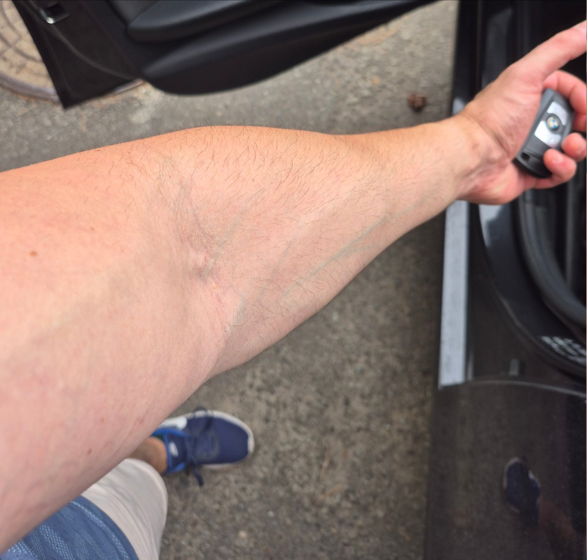 fayanzar's tweet image. those veins were poppin hard today