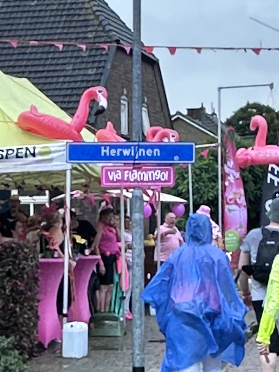 peoples_unicorn's tweet image. “Pink Wednesday” of Nijmegen 4Daagse