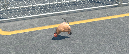 devPoland tweet media