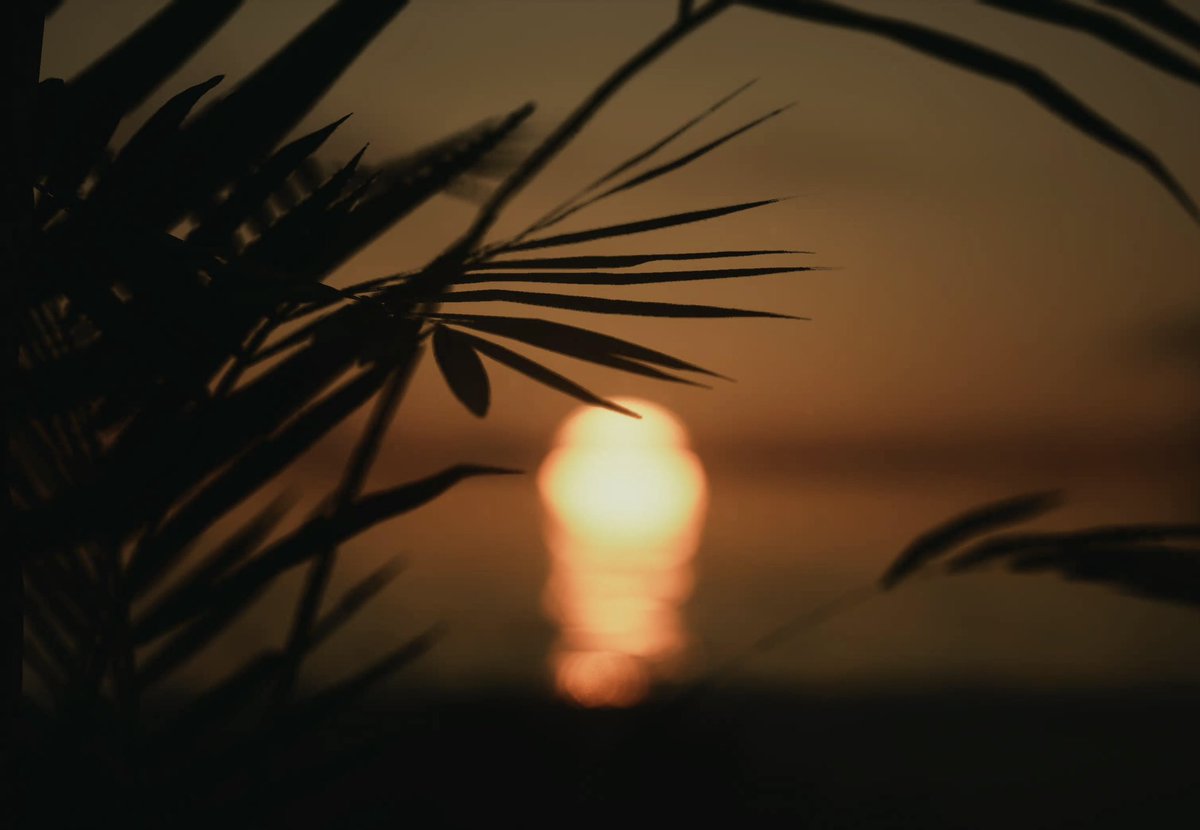 Taryn_VP's tweet image. Sunset | Lushfoil Photography Sim (PS5)