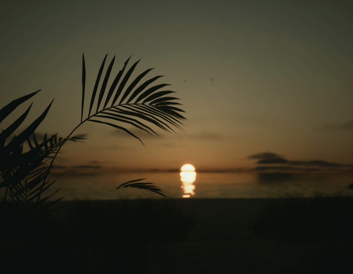 Taryn_VP's tweet image. Sunset | Lushfoil Photography Sim (PS5)